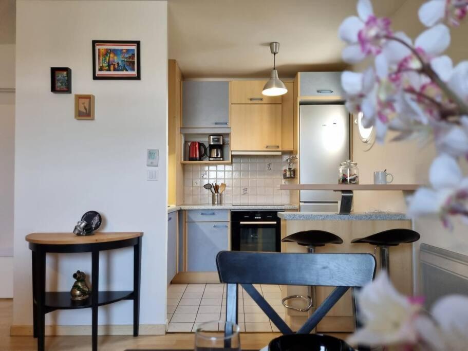 Appartement Cosy Centre Brie Comte Robert Eksteriør bilde
